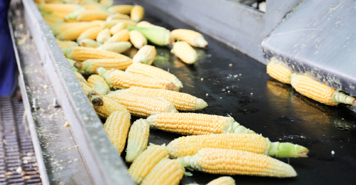 画像に alt 属性が指定されていません。ファイル名: ph_01.jpg