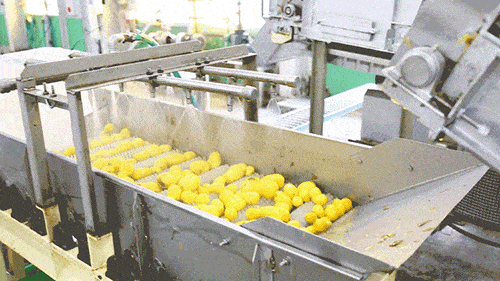 画像に alt 属性が指定されていません。ファイル名: ph_02.gif